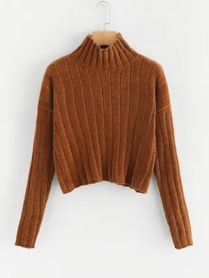 High Neck Raw Hem Crop Sweater