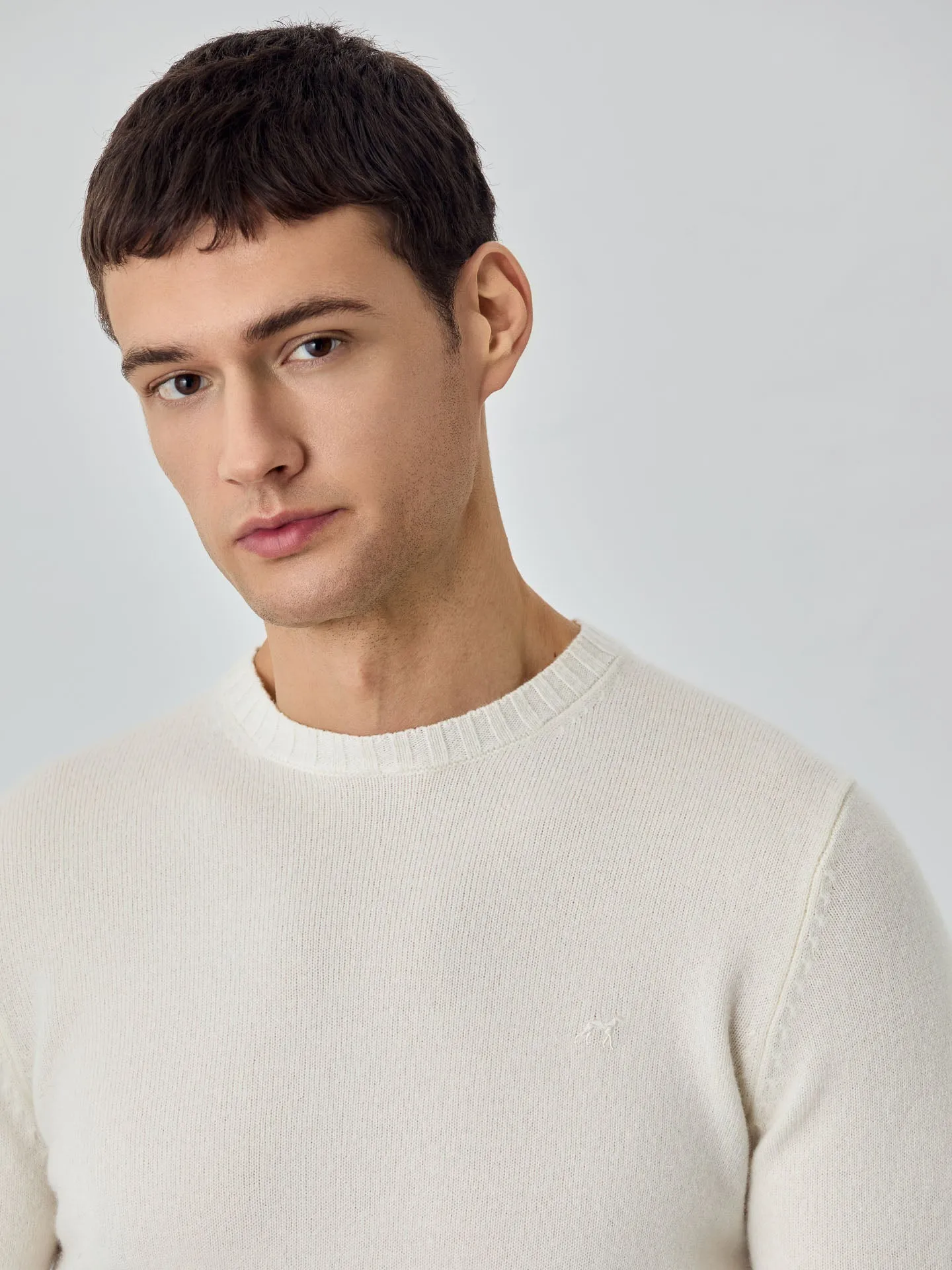 Machine Washable Crew Neck Sweater With Long Sleeves In Lambswool