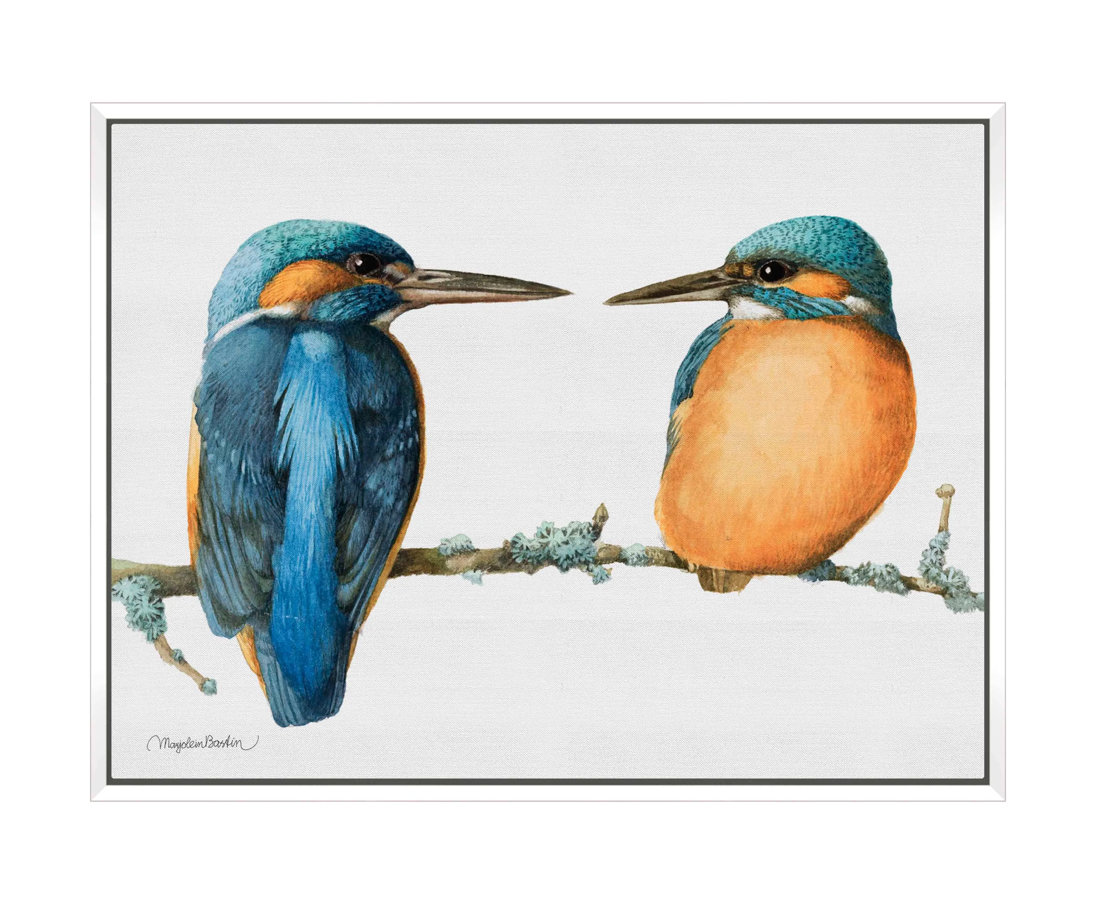 The Common Kingfisher - Gallery Wrapped Canvas