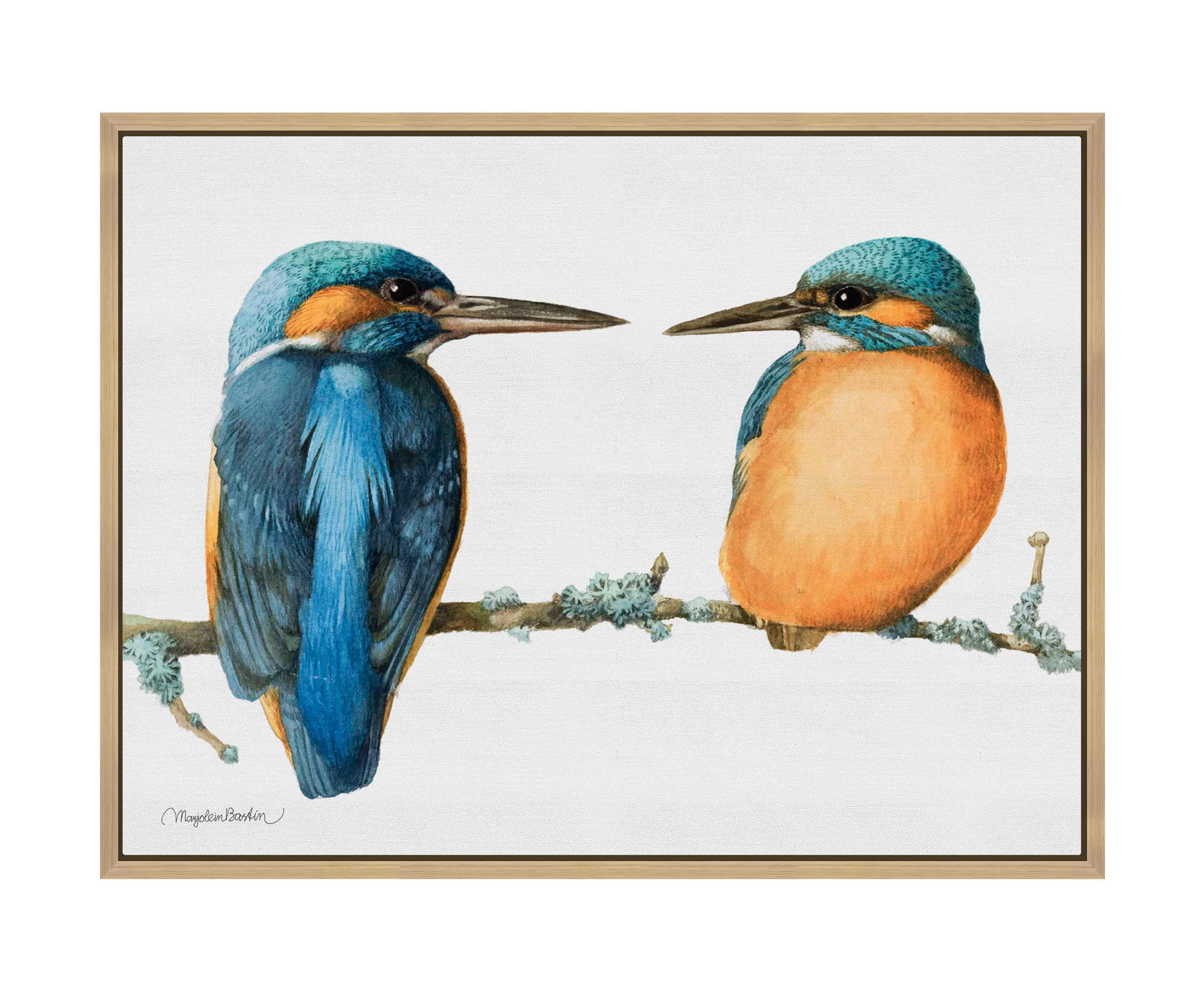 The Common Kingfisher - Gallery Wrapped Canvas