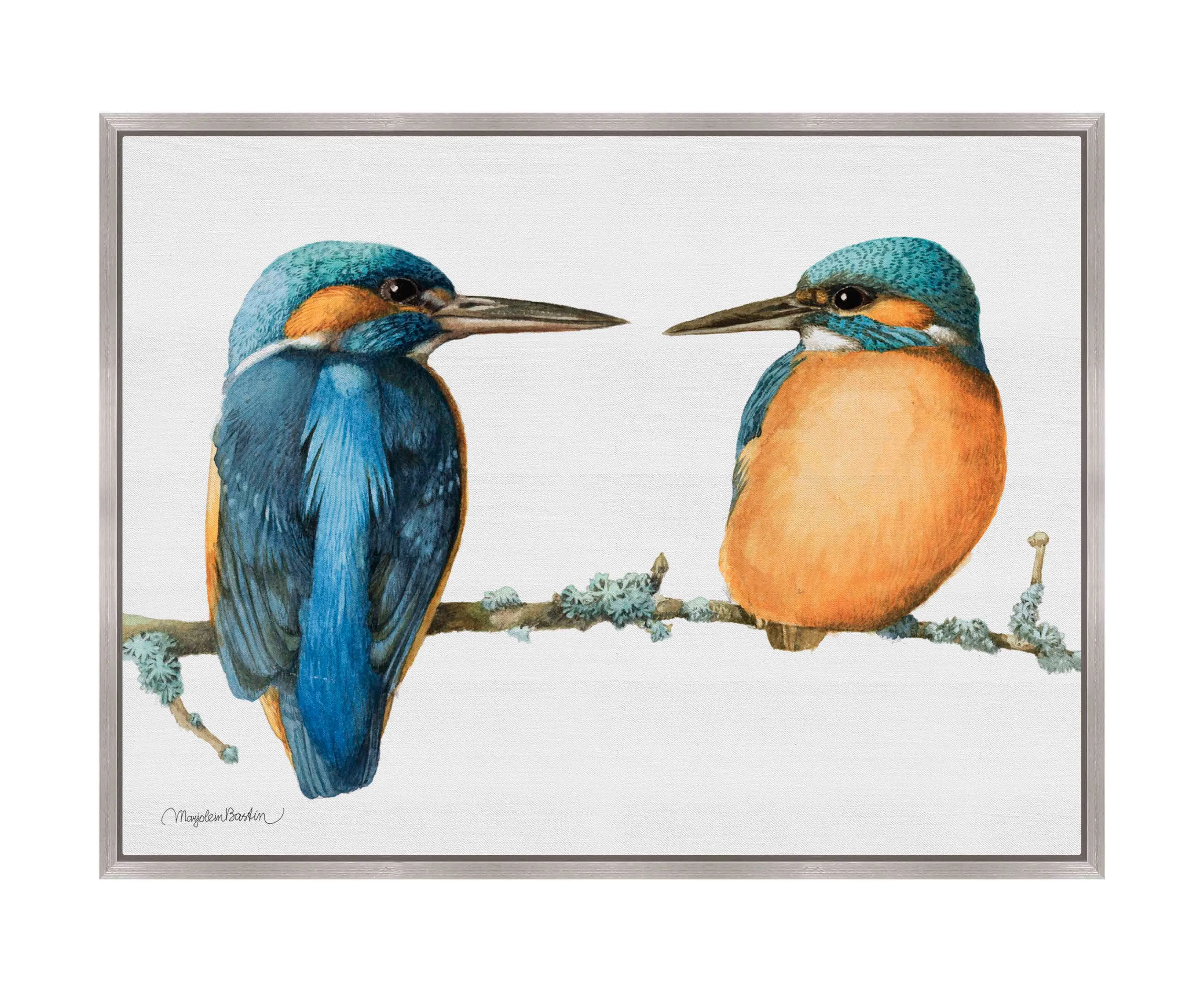 The Common Kingfisher - Gallery Wrapped Canvas