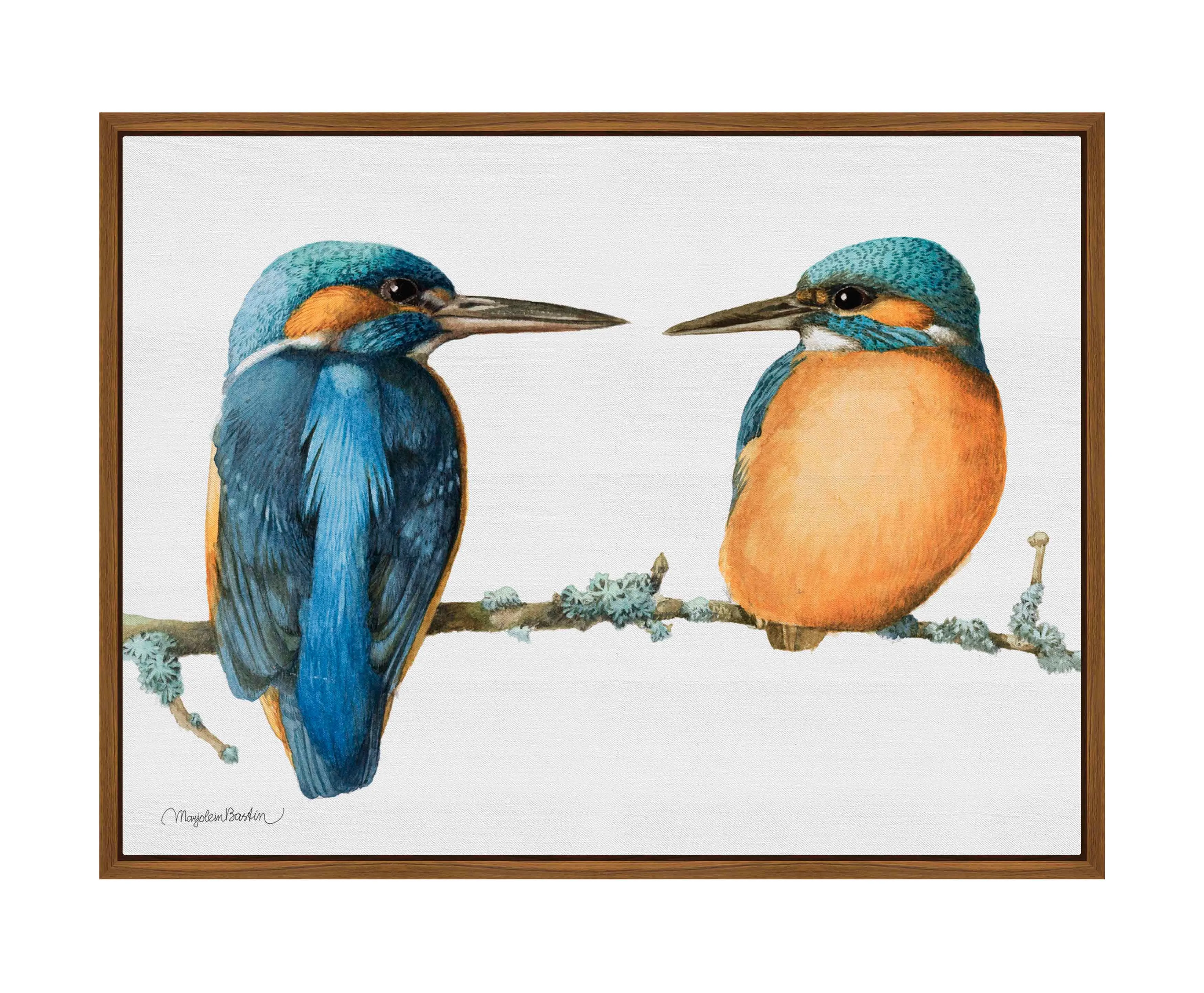 The Common Kingfisher - Gallery Wrapped Canvas