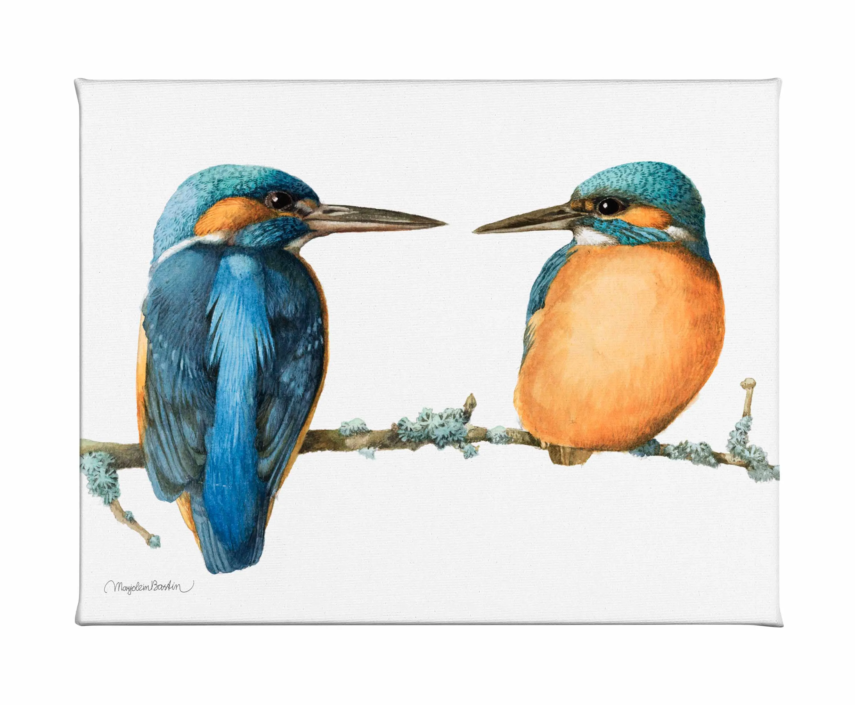 The Common Kingfisher - Gallery Wrapped Canvas